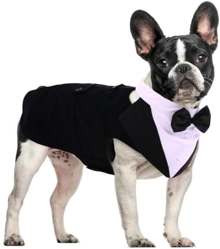 Dog Tuxedo for Small Dogs, Dog Suit and Bandana Set, Dog Costume Outfit by DoraBridal