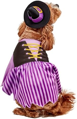 Rubies Witch Pet Costume for Dogs or Cats, XL - Image 4