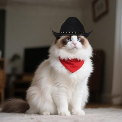 choyaxo Pet Cowboy Costume Cosplay Cap Halloween Costumes for Dogs Cat Pet Party Decoration Mini Cowboy Hat (Black, Large) - Image 3