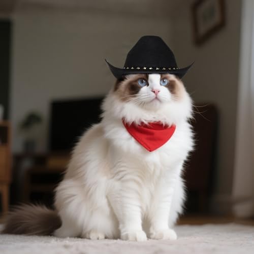 choyaxo Pet Cowboy Costume Cosplay Cap Halloween Costumes for Dogs Cat Pet Party Decoration Mini Cowboy Hat (Black, Medium) - Image 6