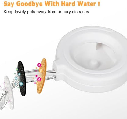 RIZZARI 5L Filtered Cat Water Dispenser: Fresh Water for Indoor Cats