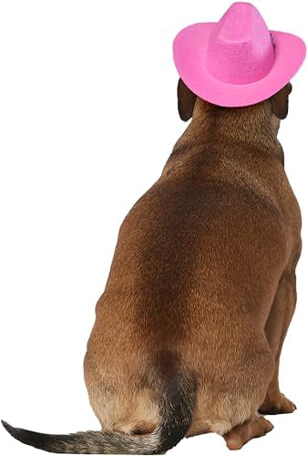 Rubies Cowgirl Pet Hat with Faux Tiara for Dogs or Cats, M/L - Image 4