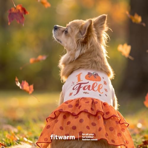 Fitwarm I Love Fall Dog Dress, Thanksgiving Outfit for Small Dogs Girl, Cute Pet Clothes, Orange, Beige, Small - Image 3