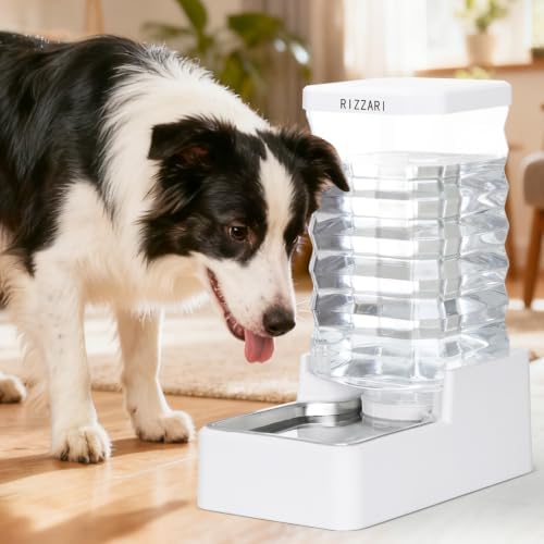 RIZZARI 2.64 Gallon Filtered Dog Water Dispenser:Gravity Auto Refill