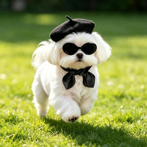 Dog Beret Scarf Glasses Pet French Beanie for Small Dogs Cats(Black, Small) - Image 7