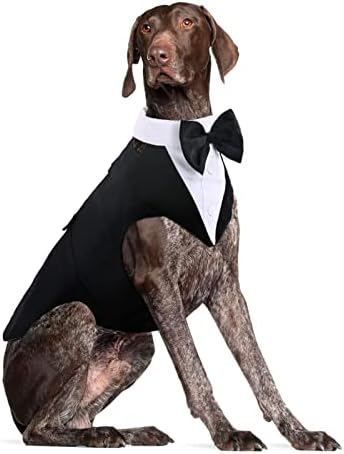 Dog Tuxedo for Large Dogs, Dog Suit and Bandana Set, Dog Costume Outfit by DoraBridal