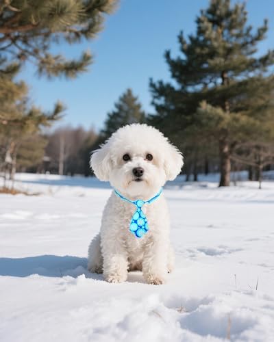 PET SHOW 10 Pack Winter Dog Ties Neckties XS for Small Dogs - Image 6