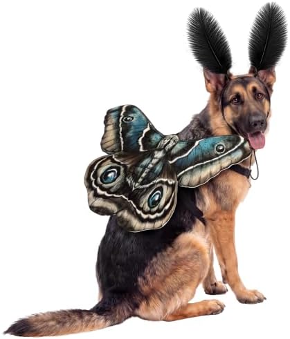 Tallew 2 Pcs Dog Halloween Costumes Moth Butterfly Wings,M,Tan by Tallew