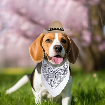 choyaxo Halloween Costumes for Dogs Cat Pet Cowboy Costume Cowboy Hat with Bandana Set for Halloween, Christmas, Holiday, Party, Cosplay (Khaki, Small) - Image 6