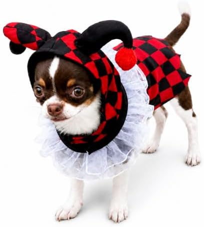 Court Jester Pet Halloween Costume with Hood - Small to Medium-Large Breed Funny Clothes Outfit Apparel (Large) by POPERIE