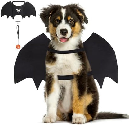 Vivifying Halloween Dog Bat Wings Costume with Pumpkin Bell, Medium, Black by Vivifying
