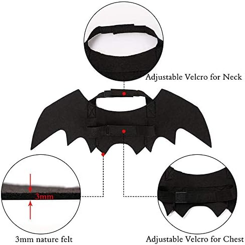 Cat Halloween Costume Bat Wing Pet Apparel for Small Dog Puppy Kitty Kitten - Image 4