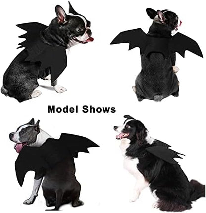 Pet Costumes Bat Wings for Puppy and Cat Halloween Dog Costumes Party Cosplay Decoration Black Apparel for Cat Small Dogs (Black, Medium) - Image 2