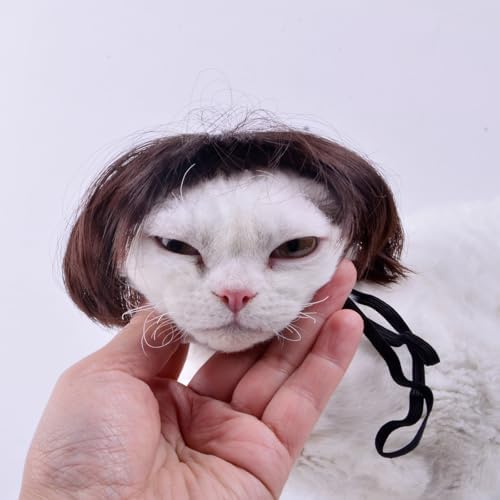 Cat Costume for cat only Mini cat bob Wig for Kitty or Porch Goose - Image 3