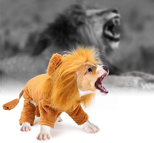 Rypet Dog Lion Costume Pet Clothes for Halloween Party Simulation Lion Pets Outfits Cosplay Dress up Clothes Pet Lions Hoodie Cat Costume for Party - Image 5