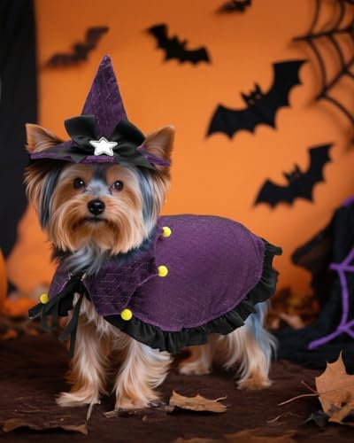 CuteBone Dog Halloween Costumes for Small, Medium, Large Dogs – Witch Pet Cosplay Outfits | Cute Puppy Costume for Halloween Party, Dress-Up, Photo Shoots GBZ03S - Image 4