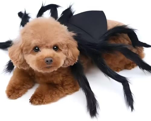 Spider Pet Costume Adjustable Halloween Cat Small Dog Cosplay - Image 5