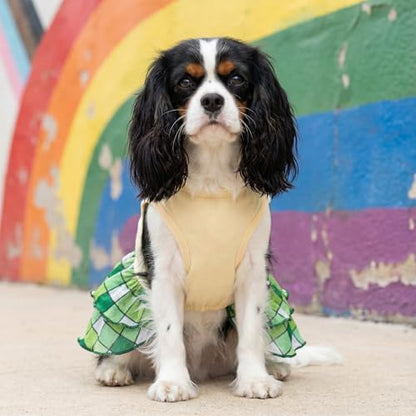 Fitwarm Happy Go Lucky Dog Dress, St Patricks Day Dog Clothes for Small Dogs Girl, Funny Pet Outfit, Green, Light Yellow, XXS - Image 3