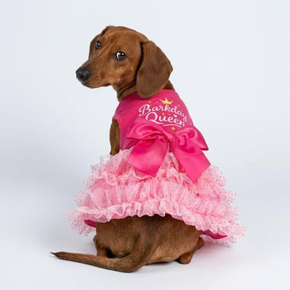 Fitwarm Barkday Queen Dog Tutu Dress, Birthday Clothes for Small Dogs Girl, Pet Outfit, Light Pink, Hot Pink, XXS - Image 4