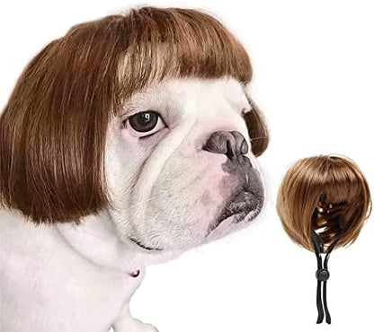 HOWWFALY Dog Costume Cat Apparel Dog Toys Curly Braids Headgear Wigs Styling Cute Funny Pet Hair Accessories Decoration for Halloween, Christmas, Parties(Flax) by HOWWFALY