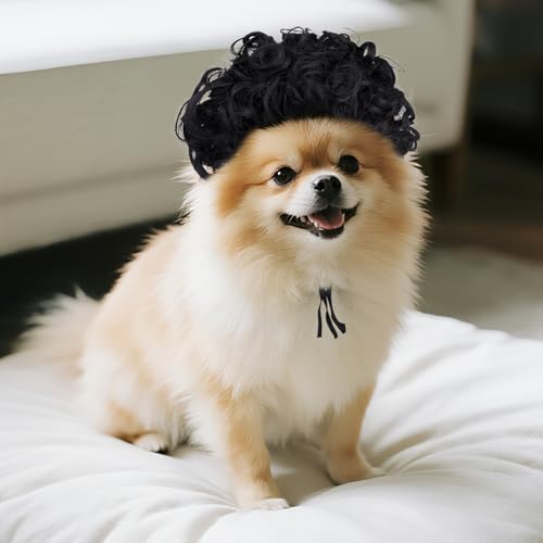 1 Pcs Funny Pets Wigs for Dog, Funny Black Curly Dog Wig Adjustable Pet Wigs for Halloween Pet Costume Accessories for Halloween, Christmas, Parties, Festivals Cosplay - Image 5