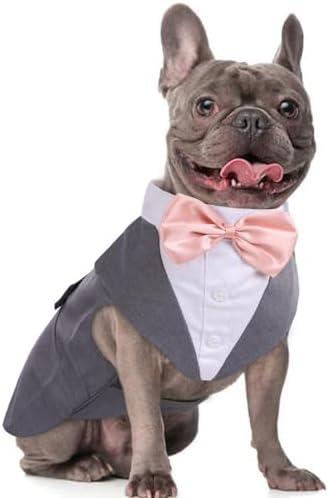 Dog Tuxedo for Medium Dogs, Dog Suit and Bandana Set, Dog Costume Outfit by DoraBridal