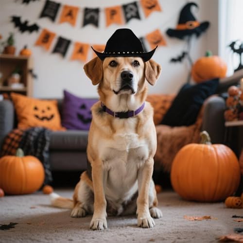 choyaxo Pet Cowboy Costume Cosplay Cap Halloween Costumes for Dogs Cat Pet Party Decoration Mini Cowboy Hat (Black, Large) - Image 4