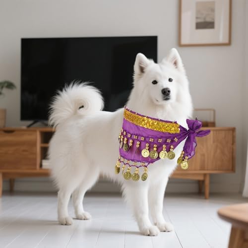 Dog Belly Dance Skirt with Sequins, Bling Belly Dance Hip Scarf for Corgis - Image 6