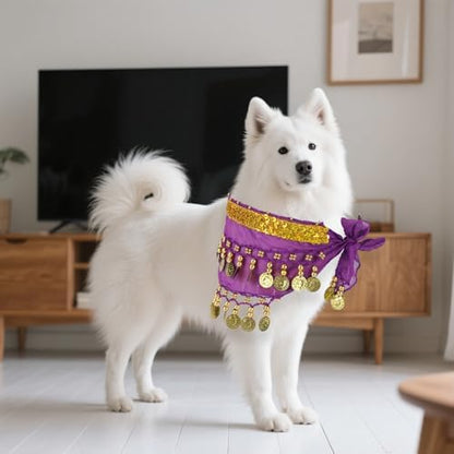 Dog Belly Dance Skirt with Sequins, Bling Belly Dance Hip Scarf for Corgis - Image 6