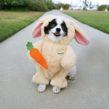 Pandaloon Dog Halloween Costume - As Seen on Shark Tank - Patented - Funny Costume with Arms for Small and Medium Dogs and Cats (Bunny, Size 1(13-14 in Height at TOP of Head,Girth<16 in)) - Image 2