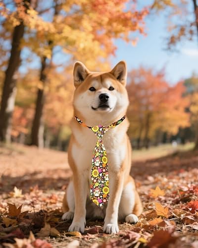 PET SHOW 10 Pack Fall Dog Ties Neckties for Medium Dogs - Image 5