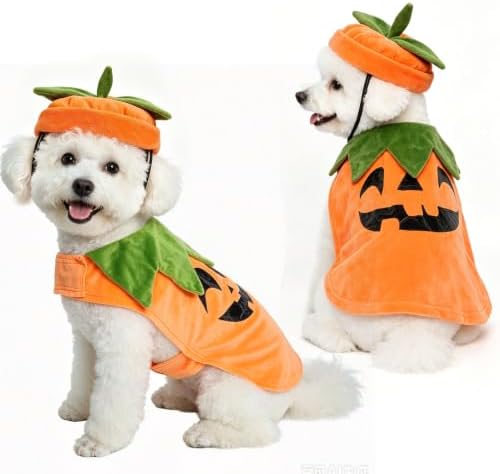 BEAUTYZOO Halloween Dog Pumpkin Costume, 2PCS Dog Halloween Costumes Cape,S by BEAUTYZOO