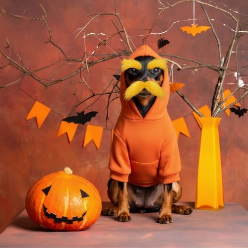 Huhumy Halloween Orange Costume for Dogs, M, Hoodie, Mustache and Eyebrows - Image 4