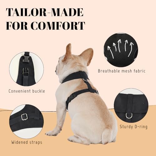 AVERYDAY Dog Tuxedo for Wedding Outfit, Dog Suit and Tie Costumes for Birthday, Halloween, Cosplay, Christmas Party, Pet Formal Wear with Bowtie, Tux for Small Dogs, Chihuahua, Bichon, Maltese, Cats - Image 5