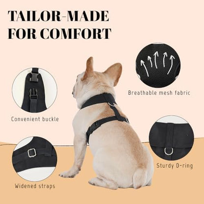 AVERYDAY Dog Tuxedo for Wedding Outfit, Dog Suit and Tie Costumes for Birthday, Halloween, Cosplay, Christmas Party, Pet Formal Wear with Bowtie, Tux for Small Dogs, Chihuahua, Bichon, Maltese, Cats - Image 5