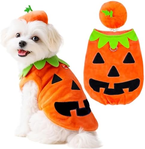 ABRRLO Funny Dog Pumpkin Costume Small Dog Cat Halloween Costumes Boy Girl Cute Halloween Dogs Shirt with Leash Ring Pumpkin Hat Puppy Cosplay Outfits Pet Party Clothes Apparel Yorkie Chihuahua(S) by ABRRLO