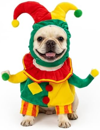 DELIFUR Dog Clown Costume Funny Pet Outfit for Halloween Christmas, Medium by DELIFUR