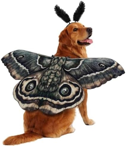 Dog Cat Moth Wings Halloween Costume with Feather Headband (Black) by Unknown