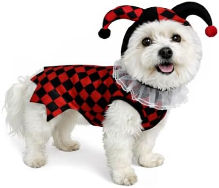 Court Jester Pet Halloween Costume with Hood - Small to Medium-Large Breed Funny Clothes Outfit Apparel (Large) - Image 6