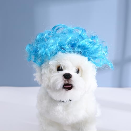Funny Dog Cat Cosplay Wig, Headwear Apparel Toy, Pet Costumes, Cat Dress up for Halloween, Christmas, Parties, Festivals, Dog Wigs for Small Medium and Large Dogs (Explosive Blue) by Unknown