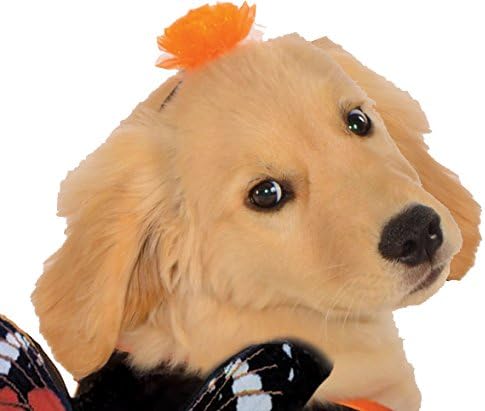 Rubies Monarch Butterfly Pet Costume for Dogs or Cats, XL - Image 5