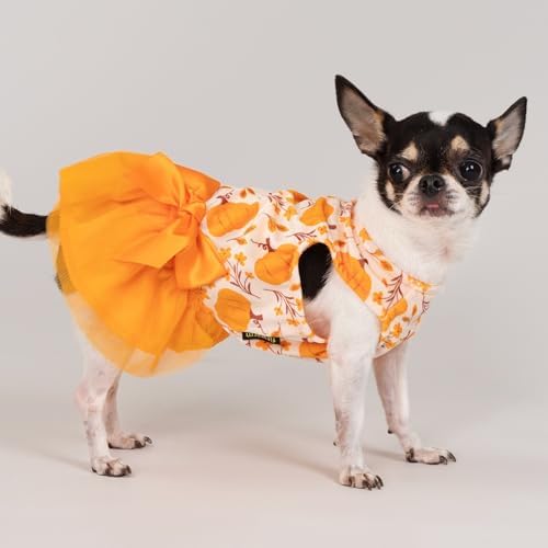 Fitwarm Pumpkin Flower Dog Dress, Thanksgiving Outfit for Small Dogs Girl, Fall Pet Outfit, Beige, Orange, XS - Image 3