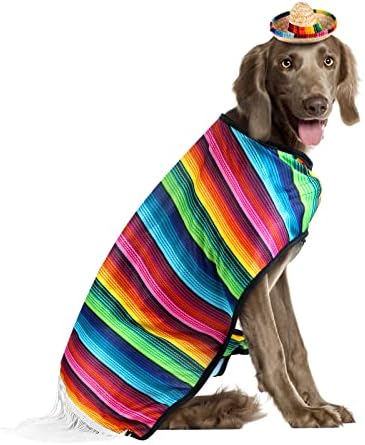 Frienda Dog Sombrero Hat Pet Halloween Poncho Dog Costume Set Mexican Decor - Image 6