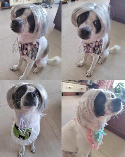 Straight Sliver Dog Wigs for Large Dogs Wigs for Dog Wig Pet Costume - Image 2