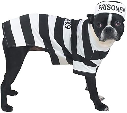 Casual Canine Prison Pooch Costume for Dogs, 16" Medium, Black and White by OOMCOMMERCE