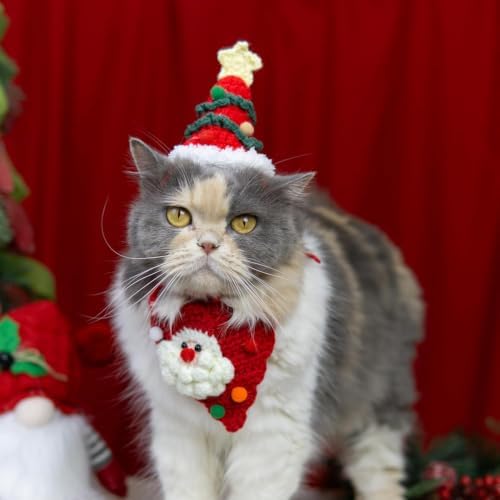 Dog Christmas Costume,Handmade Dog Outfits, Christmas Tree Pet Hat & Cute Santa Cat Costume – Gifts for Cats and Small Sized Dogs, Party & Photos, Outgoing - Image 6
