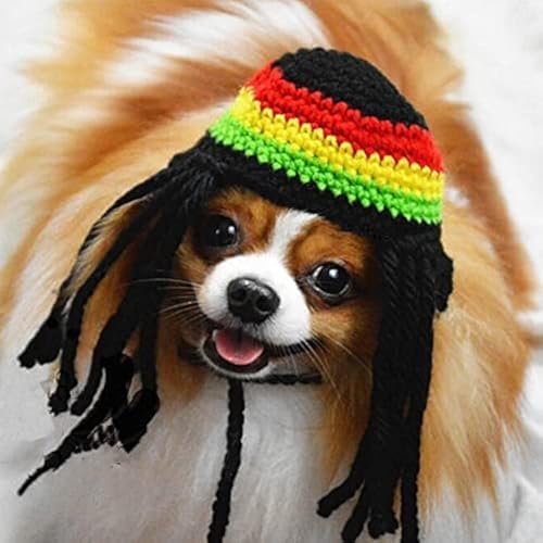 Dog Knitted Hat with Dreadlocks,Dog Winter Woolen Cap Cool Cat Headwear by PQIQP