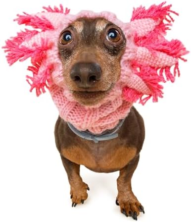 Zoo Snoods Axolotl Dog Costume - Warm Crochet Salamander Snood Wrap for Pets, Neck Ear Cover Protection, Halloween Winter (Small) by ZooSnoods