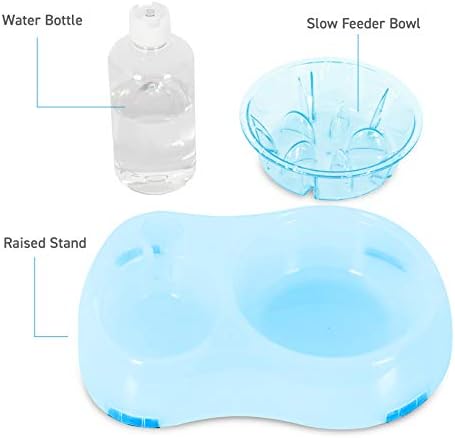 Slow Feeder Bowl, Elevated, Double Transparent for Cats, Small Dogs, Pet Automatic Water Feeder with Water Bottle