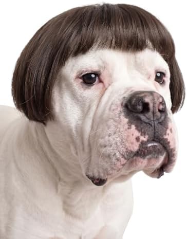 Dog Wigs for Large Dogs Wigs for Dog Wig Pet Costume Black Brown Straight by WelcometoDelfd